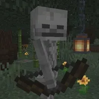 Skeleton