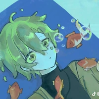 hiha toxic