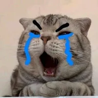 thk e số khổ 