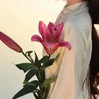 Phạm Liên Ngọc