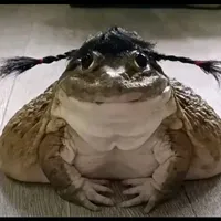 t/g