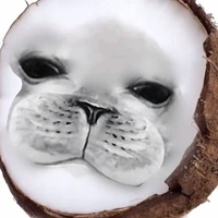 💣cả đám 💣