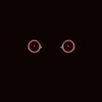 ₫@÷/<&>_=!!#
