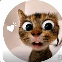 All Tất Cả Mọi Người