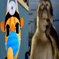 dr. hả lơ
