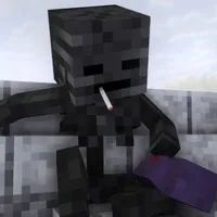 Wither SKELETON[Anh Hai]