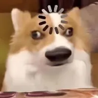 nhỏ tg