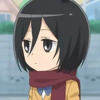 Mikasa