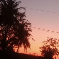 Yans Tổng