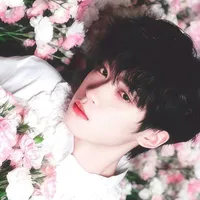 Trịnh Bằng - Tống Tử Du