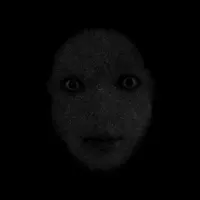 ? ? ?