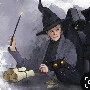 MC Gonagall