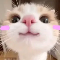 con nghiện bouzuu👀