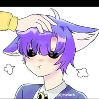 Hiha catnap