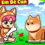 Shiba cún