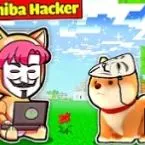 Shiba Hacker