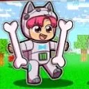 Shiba robot