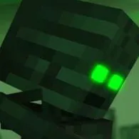 Wither VERIDIAN[Anh Ba]