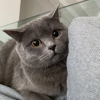 Mon
