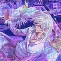 hiha hologram