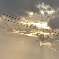 y/n