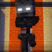 Wither NYX [anh ba]
