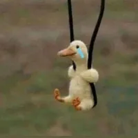 Khờ