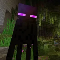 Endermen 