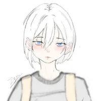 y/n ( 5t )