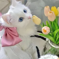 All 