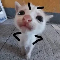 Bunn_tgia