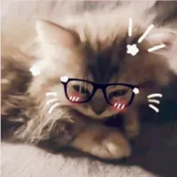 Tác giả _ Susi