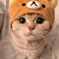 Hệ thống ( mèo gấu ) Bạch phương phúc