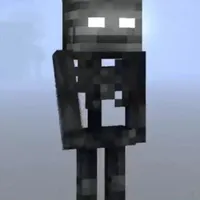 Wither STORMUS[Anh Năm]
