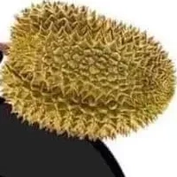 trợ lí thik sầu riêng
