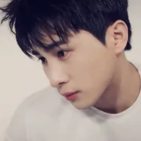 Lê Hồng Sơn_Top_