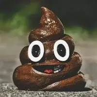 cục 💩