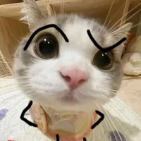 Ai đó