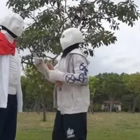 Alpha sans