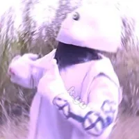 alpha