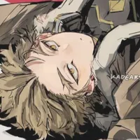 Hawks