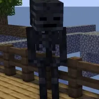 Wither skeleton ⋆ cậu hai ⋆