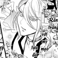 Amodeus Alice