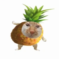 *Itrapped*