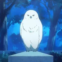Fuu