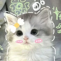 Kênh chat/cmt