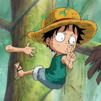 Mokey D.Luffy