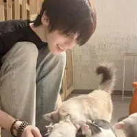 ¹⁸ Đông Vĩ Kim Ngưu「𝙠𝙣𝙜𝙪𝙙𝙫𝙞」