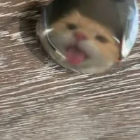 @𝙡𝙙.𝙗𝙙𝙬𝙜「♈︎」