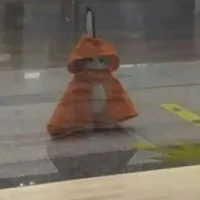 @𝙖𝙦𝙞𝙖𝙢𝙖𝙣「♒︎」